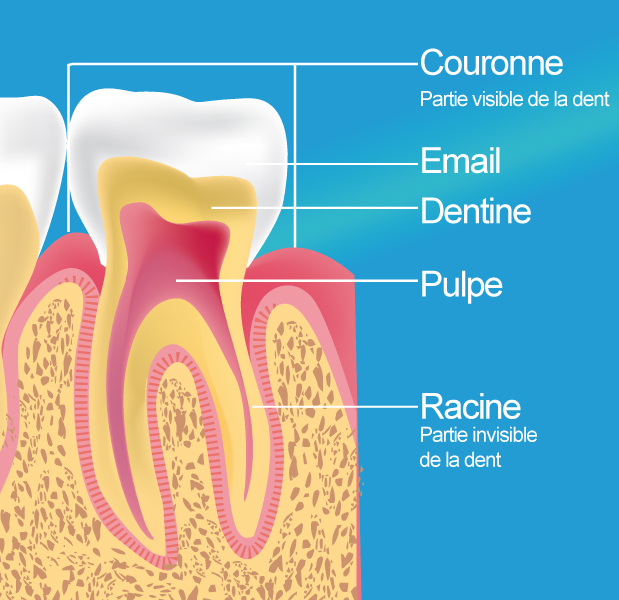 Dentiste Bordeaux 